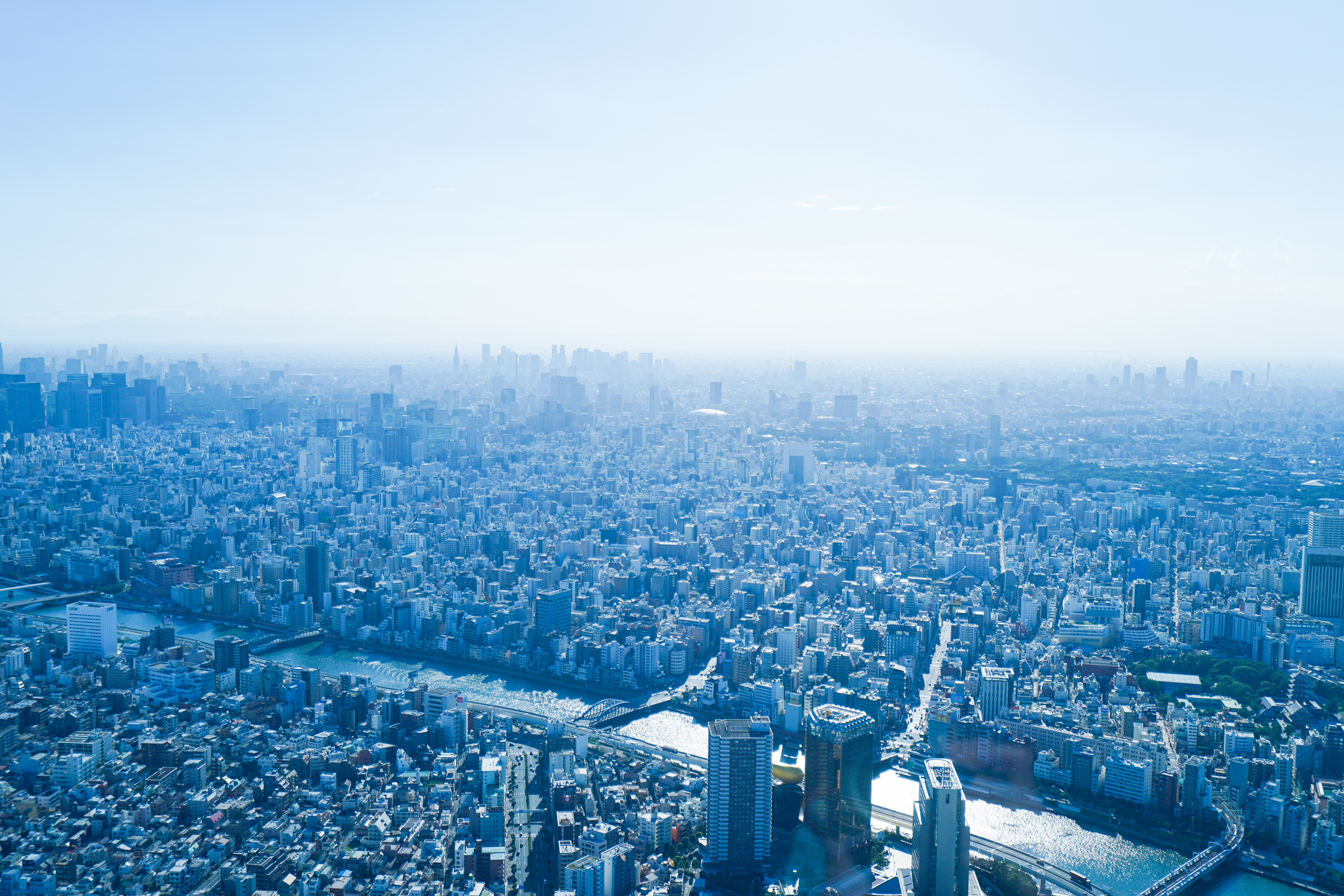 サービス見出し背景